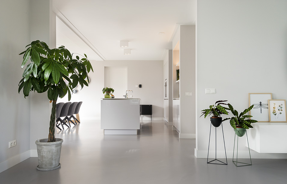 EPI Superbase Grey Light Kitchen plants EPI Superbase Grey Light Kitchen plants